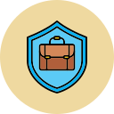 seguro icon