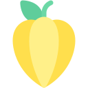 carambola icon