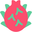 dragon de fruta icon