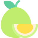 pomelo icon