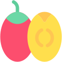 tamarillo icon