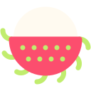 rambután icon