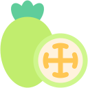 feijoa icon