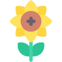 girasol icon