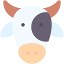 vaca