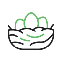 Nest 