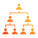 estructura de organización