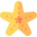 estrella de mar