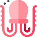 pulpo