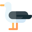 gaviota icon