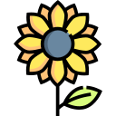 girasol icon