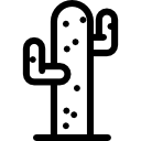 cactus icon