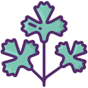 cilantro icon