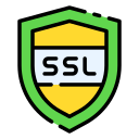 ssl icon