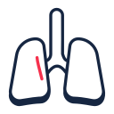 pulmones