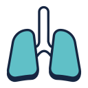 pulmones icon