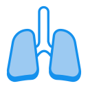 pulmones 