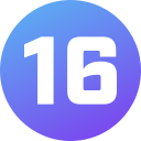 16 icon