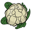 coliflor icon