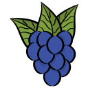 uvas icon