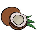 coco icon