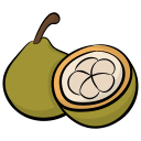 guayaba icon