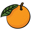 naranja icon