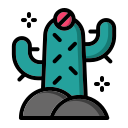 cactus icon