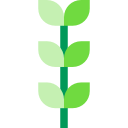 성장하는 식물 