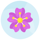 flor de cerezo 