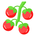 tomate icon