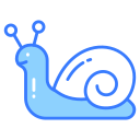 caracol