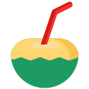 bebida de coco icon