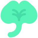 ginkgo icon