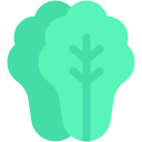 lechuga icon