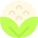 coliflor icon