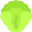 repollo icon