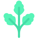 cilantro icon