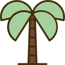 palmera