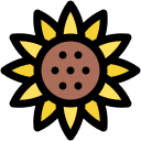 girasol icon