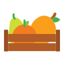 frutas icon