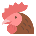 pollo icon