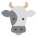 vaca