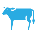 vaca icon