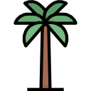 palmera