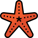 estrella de mar