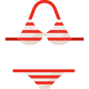 bikini icon