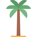 palmera icon