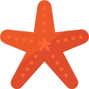 estrella de mar 