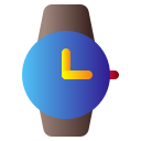 reloj icon